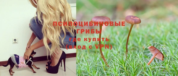 прущие крисы Покров