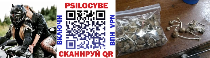 Псилоцибиновые грибы Magic Shrooms  Ветлуга 
